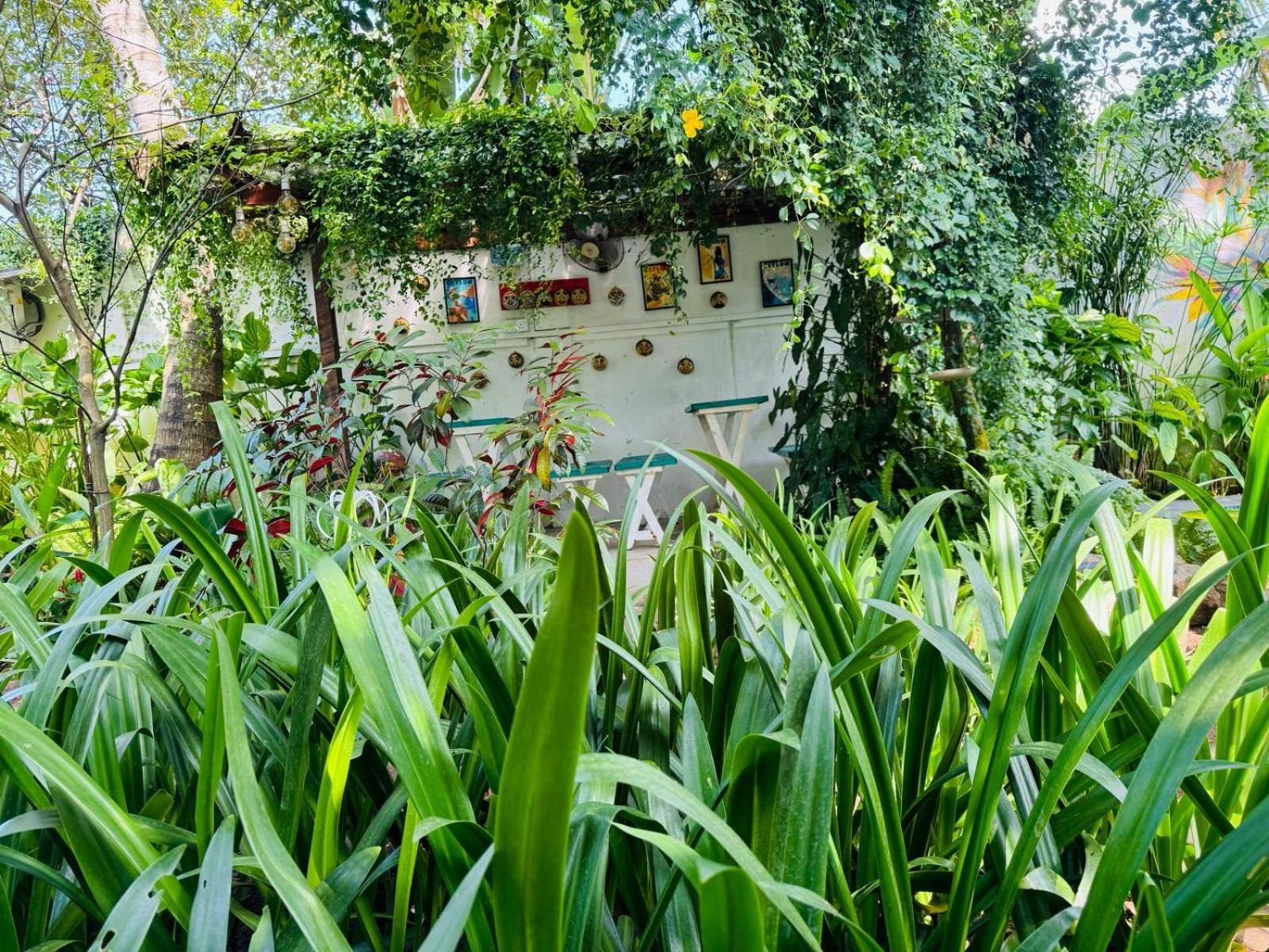 Double Mango Villa Katunayaka Exterior photo